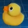 Duck World