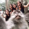 Matched profile picture