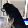 Matched profile picture