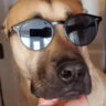 Selected profile picture