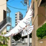 astro_4321