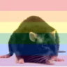 Selected profile picture