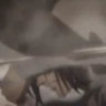 /traitor
