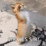 harmpaw