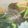 The Oasis