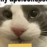 tommyheoheo