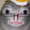 zululuga