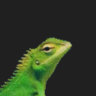 Matched profile picture