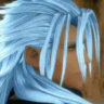xenstark