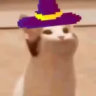 zeper