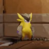 Matched profile picture