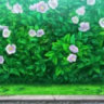 ୨୧ Kiera's Basement ୨୧