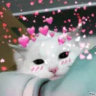 ♡ 𝑺𝒂𝒓𝒂𝒉'𝒔 𝑫𝒊𝒔𝒄𝒐𝒓𝒅 ♡