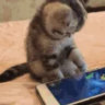 Matched profile picture