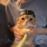 xzekyz