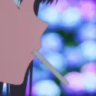 .yanzo