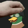 Selected profile picture