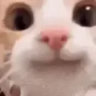 areuosu