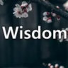 wisdom.entertainment