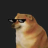 Matched profile picture