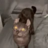 Matched profile picture