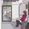 feverdev