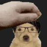 Matched profile picture