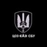 ЦСО «А»