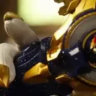 drelock