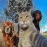 Selected profile picture