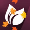 Exeter Primary School | VC 🍂