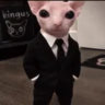 distortedghostz