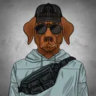 Matched profile picture