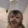 heyehwy