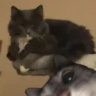 Matched profile picture
