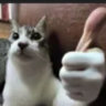 Matched profile picture