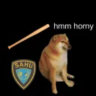 Selected profile picture