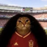 Matched profile picture