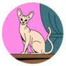Matched profile picture