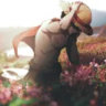 heavenly_hare_85671