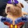 Selected profile picture