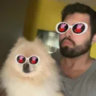 Matched profile picture
