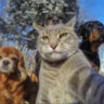 Matched profile picture
