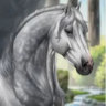 Selected profile picture