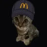 wacko3250