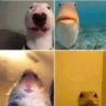 Matched profile picture