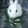 𝐁𝐈𝐆𝐎𝐓𝐄𝐃