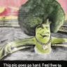 Selected profile picture