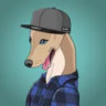 Matched profile picture
