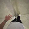 kenenzx